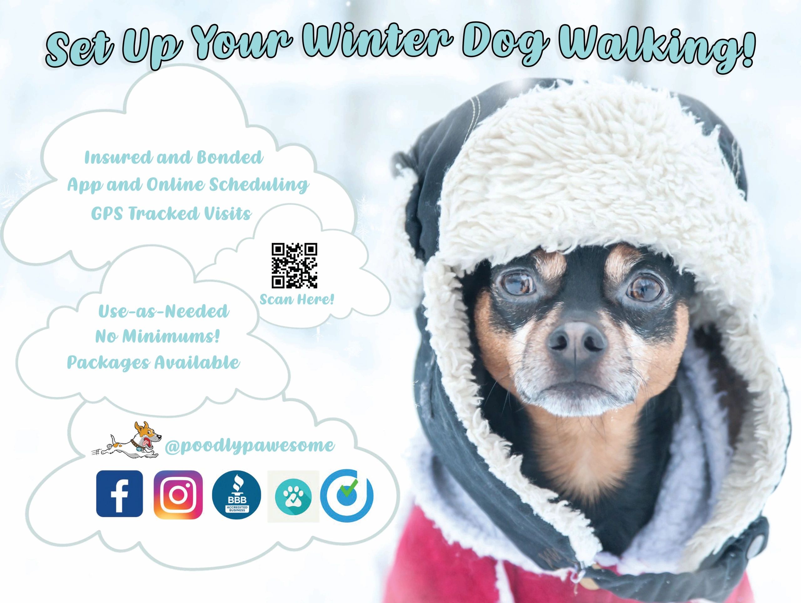 Chicago Style Dog Walking Dog Walking Jobs Dog Walker Jobs